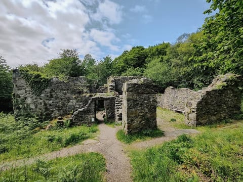 Ruins of a stone cottage surrounded by overgrown vegetation and trees under a partly cloudy sky