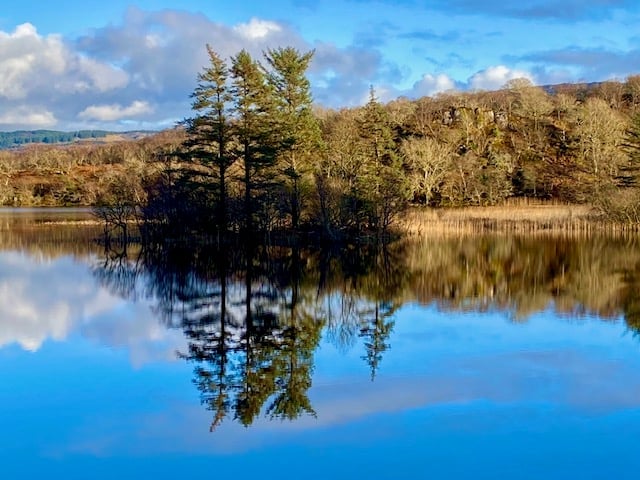 Small forested island with evergreen and deciduous trees reflected in calm blue lake water under partly cloudy sky