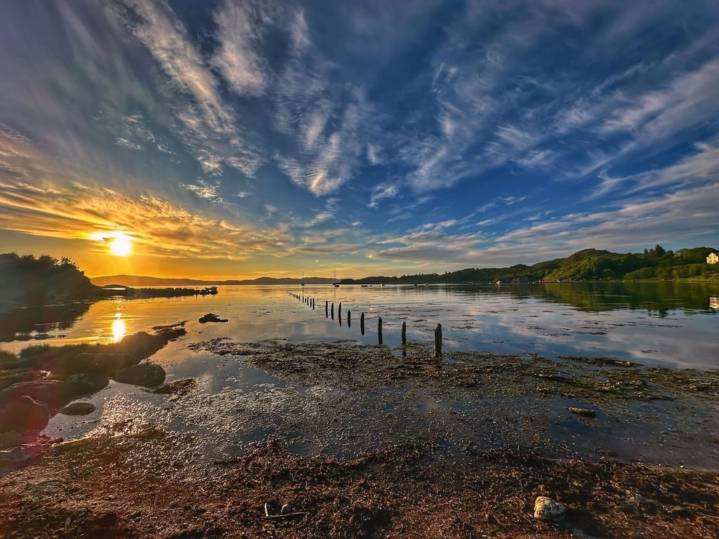 Golden sunrise over calm river with wooden posts and shingle beach, trees silhouetted on horizon