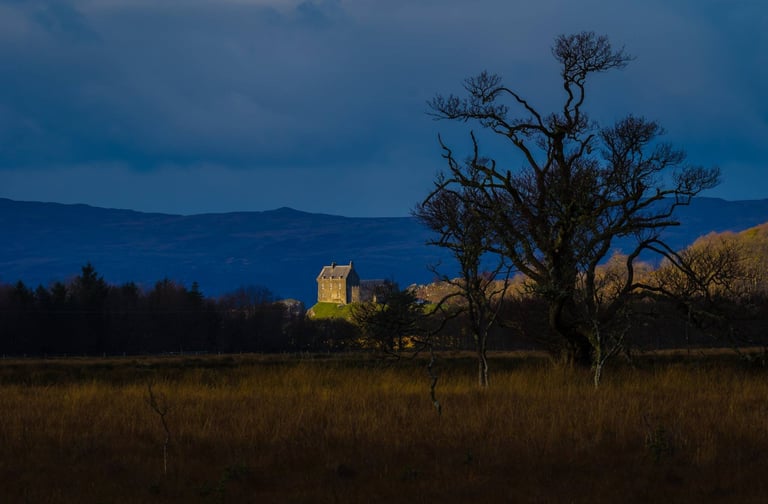 Illuminated castle on a hilltop with bare twisted tree in foreground at twilight, mountains visible in blue dusk sky