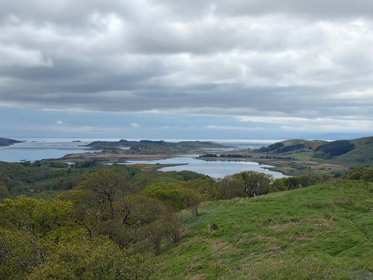 Rolling green hills with scattered trees overlooking a calm blue lake, mountains in the background under a cloudy sky