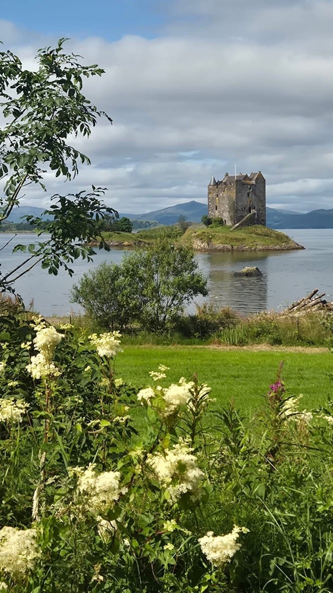 Medieval stone castle on a small island in a Scottish loch, surrounded by green landscape and white wildflowers in foreground