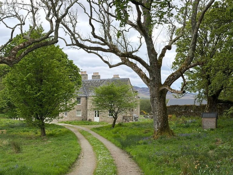 Stone farmhouse with chimneys at end of tree-lined dirt driveway in Scottish countryside