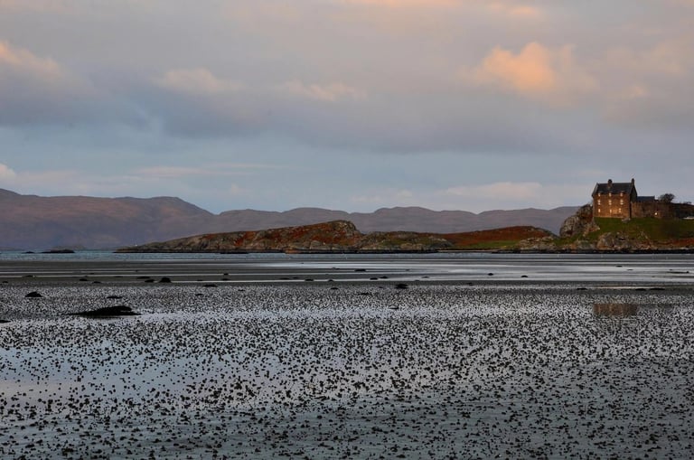Rocky beach with castle ruins on distant island and mountains under cloudy sky