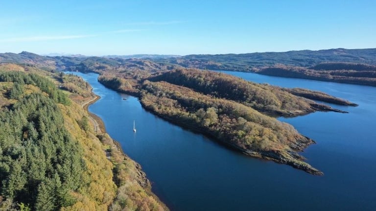 Aerial view of forested peninsulas and blue water bodies with sailboat on a clear day