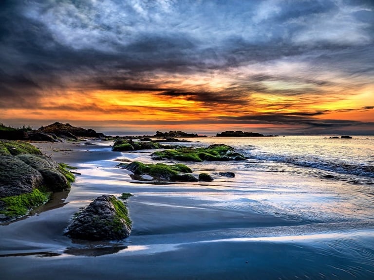 Dramatic coastal sunset with moss-covered rocks, crashing waves, and a golden sky reflected in wet sand