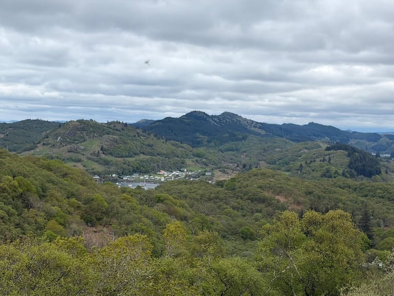 Aerial view of a verdant valley with a small white town nestled between forested hills and distant mountains under cloudy sky